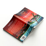 Darwin Wells a titkok országában - könyv, 336 oldal