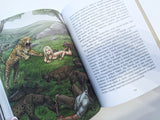 Darwin Wells a Vadak földjén - könyv, keményfedeles, 272 oldal